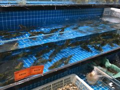 水产区-梁家大院•农家菜(昆山会展中心店)