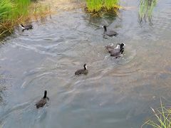 -花湖生态旅游区