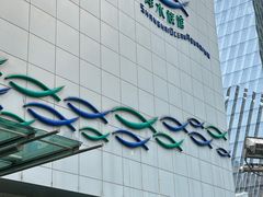 -上海海洋水族馆