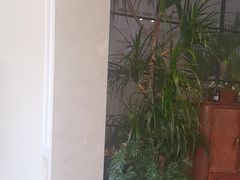 -金谷仓家庭料理(马泉营店)