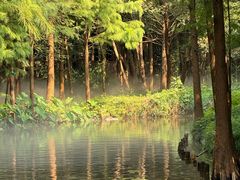 -尚湖风景区