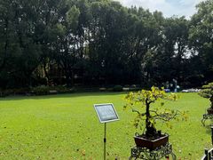 -申粤轩酒楼·三十年粤菜经典(丁香花园店)