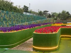 -莫子山公园