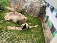 -青藏高原野生动物园