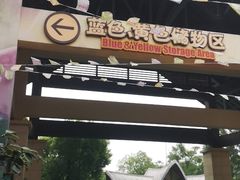 -苏州乐园森林水世界