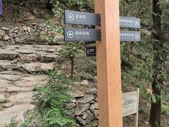 -北京鹫峰国家森林公园