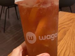 -Wagas沃歌斯(汇智店)