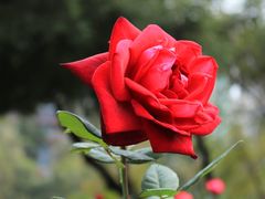 -人民公园(罗湖区)