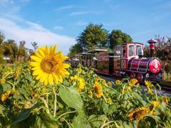 -武汉紫薇都市田园