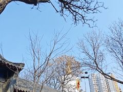-护国法轮寺