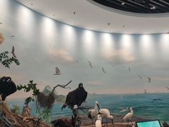 -大连市规划展示中心