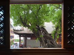 -大佛寺高级素食自助餐厅