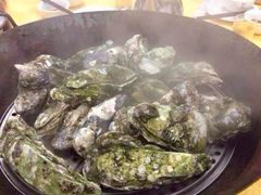 桑拿蚝-蚝专家(北滘店)