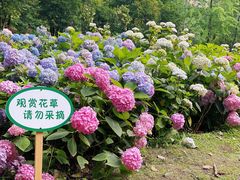 -塔子山公园