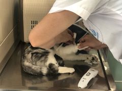 -申普宠物医院·眼科·心内科·影像科(普陀分院)