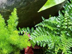 -大妙火锅·非物质文化遗产(东湖公园店)