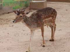 -鄂尔多斯野生动物园