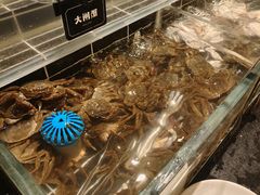 -钱小奴海鲜自助黑金店(杭州滨江龙湖店)