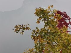 -太行锡崖沟旅游度假区