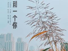 -保定东湖公园(莲池区)