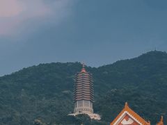 -深圳仙湖植物园