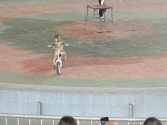 -石家庄市动物园