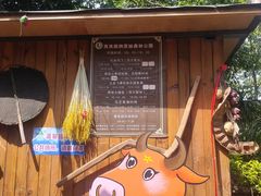 -西双版纳原始森林公园