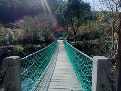 -石台牯牛降景区