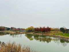 -贡湖湾湿地公园