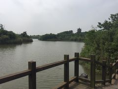 -梁鸿国家湿地公园