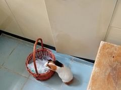-雨林宠物医院 非犬猫异宠专科