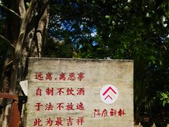 -西双版纳傣族园