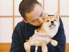 -豆柴町-柴犬主题狗咖(红鼎国际C座店)