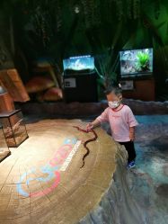 -酷嗒动物文化乐园(cutezoo西溪乐天城店)