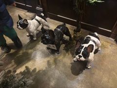 -LYFATTI 莱芙缇(赣水路店)