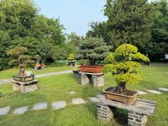 -扬州大运河文化旅游度假区·盆景园