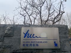-静之湖度假区