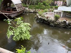 -花溪雨·森林餐厅(石基店)