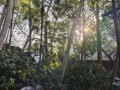 -灵隐飞来峰景区