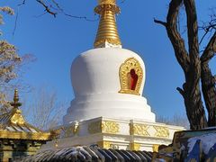 -护国法轮寺