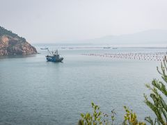 -摩天岭风景区