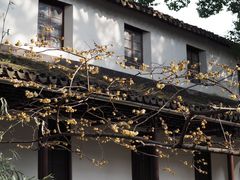 -西园戒幢律寺