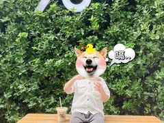 -% Arabica阿拉比卡咖啡(武康路店)