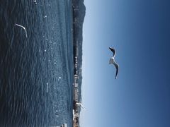 -海埂大坝