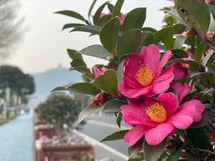 -苏州吴中太湖旅游区