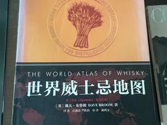 -深圳温德姆至尊酒店·大堂吧·户外花园