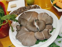 -清真军邺·金富苑肥牛(石坡街旗舰店)