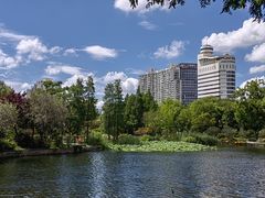 -和平公园