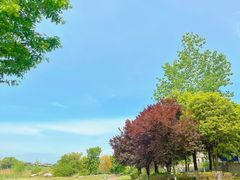 -两河城市森林公园
