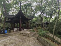 -上海佘山国家森林公园天马山园